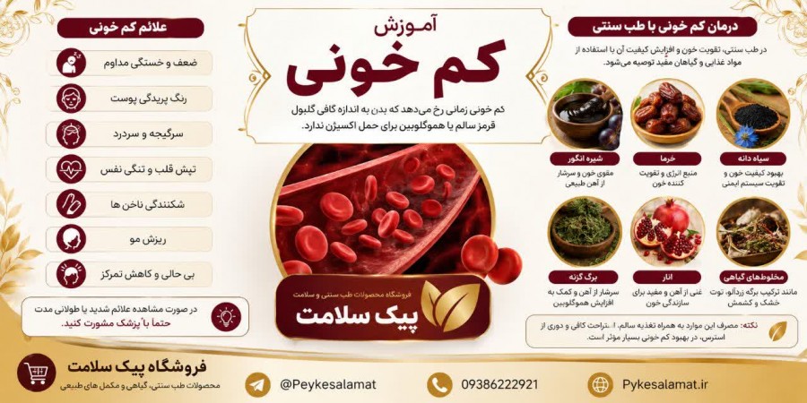<!-- Alt: درمان کم خونی با طب سنتی و محصولات خونساز پیک سلامت -->