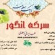 سرکه خمری انگور  - زنده‌کننده قلب، تصفیه‌کننده خون و دفع سموم