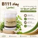 پماد B111 پیک سلامت - تسکین سریع درد مفاصل، عضلات و آرتروز