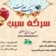 سرکه خمری سیب  -  کاهش وزن و تصفیه خون