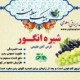 شیره انگور  - قرص آهن طبیعی، خون‌ساز و تقویت‌کننده بدن