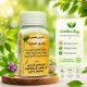 پادزهر احمدیه  (قرص و کپسول) - بندآورنده خونریزی، افزایش پلاکت و تقویت خون